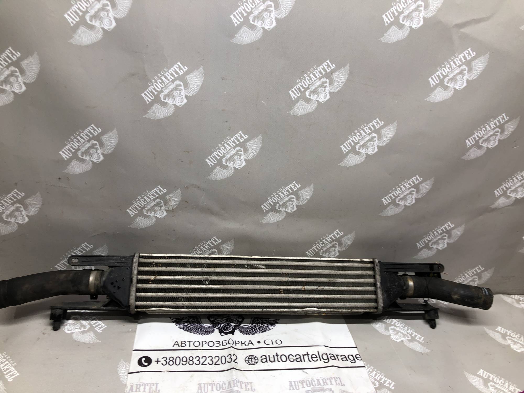 Радіатор інтеркулера Fiat Doblo 51833975