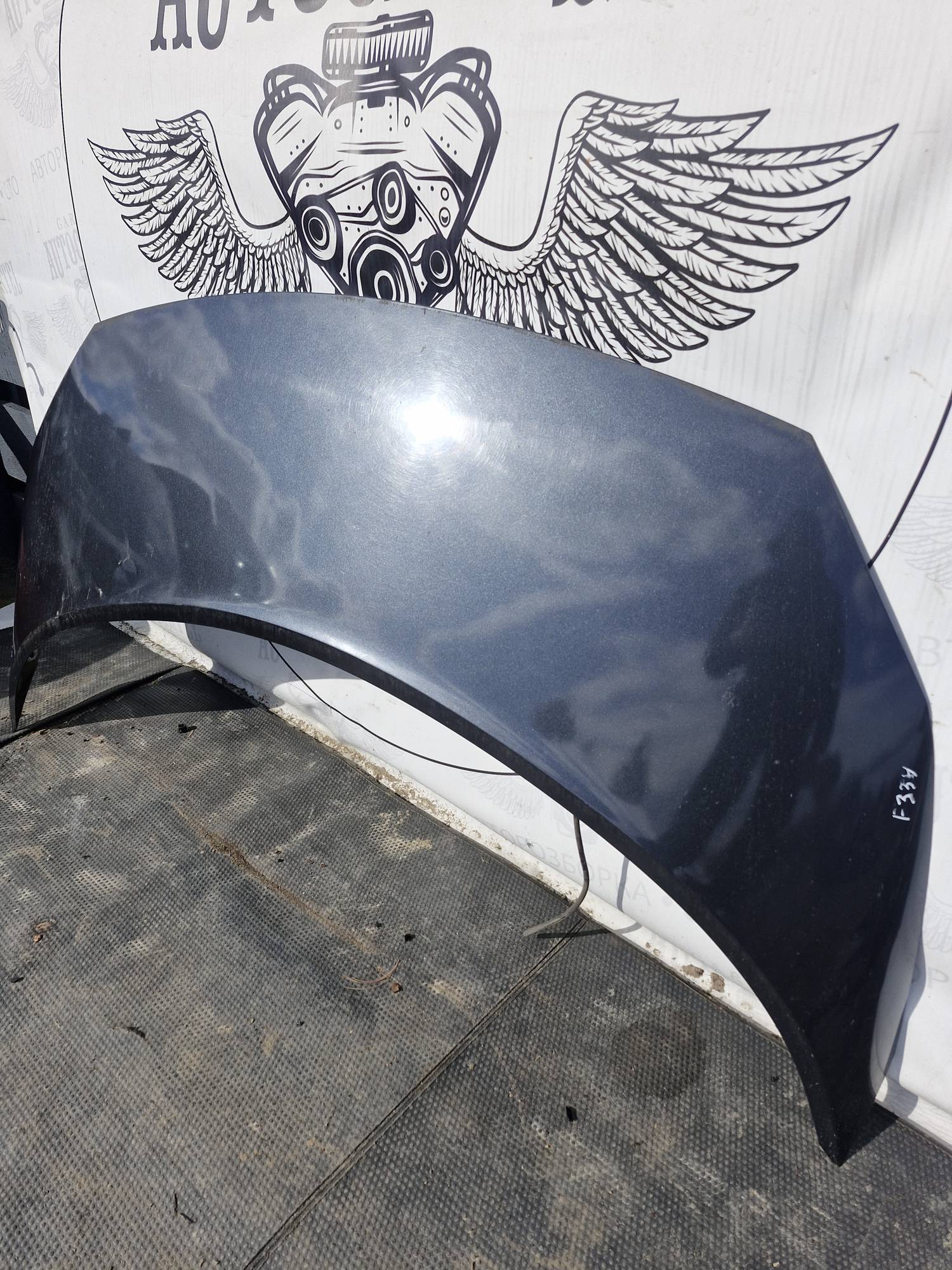 Капот Renault Scenic 2 2003-2009 21691867