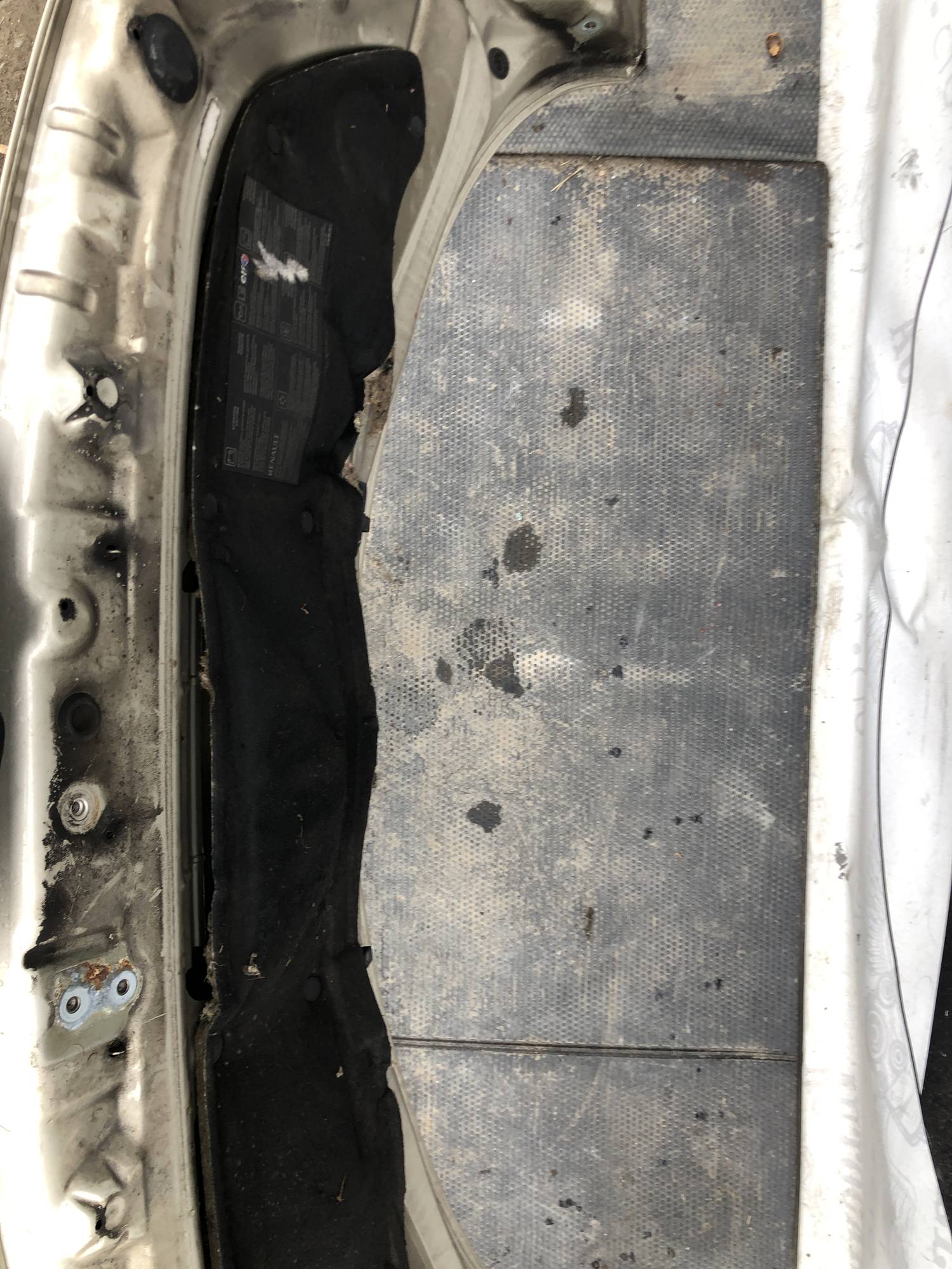 21722677 Капот Renault Scenic 2 2003-2009