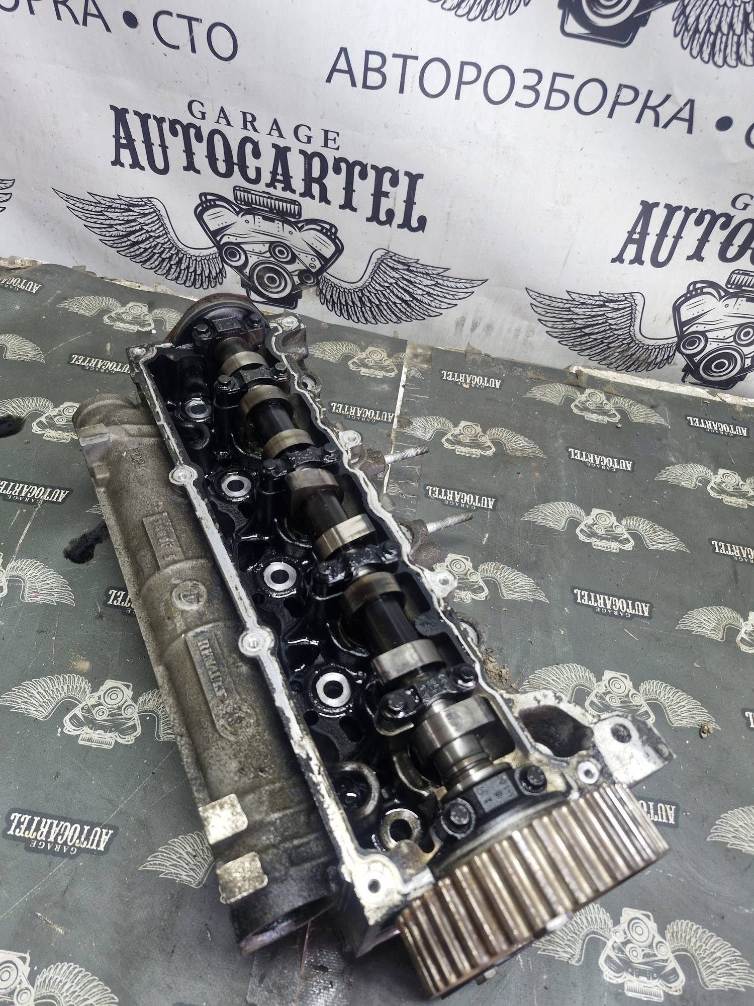 Головка блоку циліндрів 3869F 3 Renault Megane 3, Scenic 3, Clio 3, Kangoo 1-2, Laguna 3