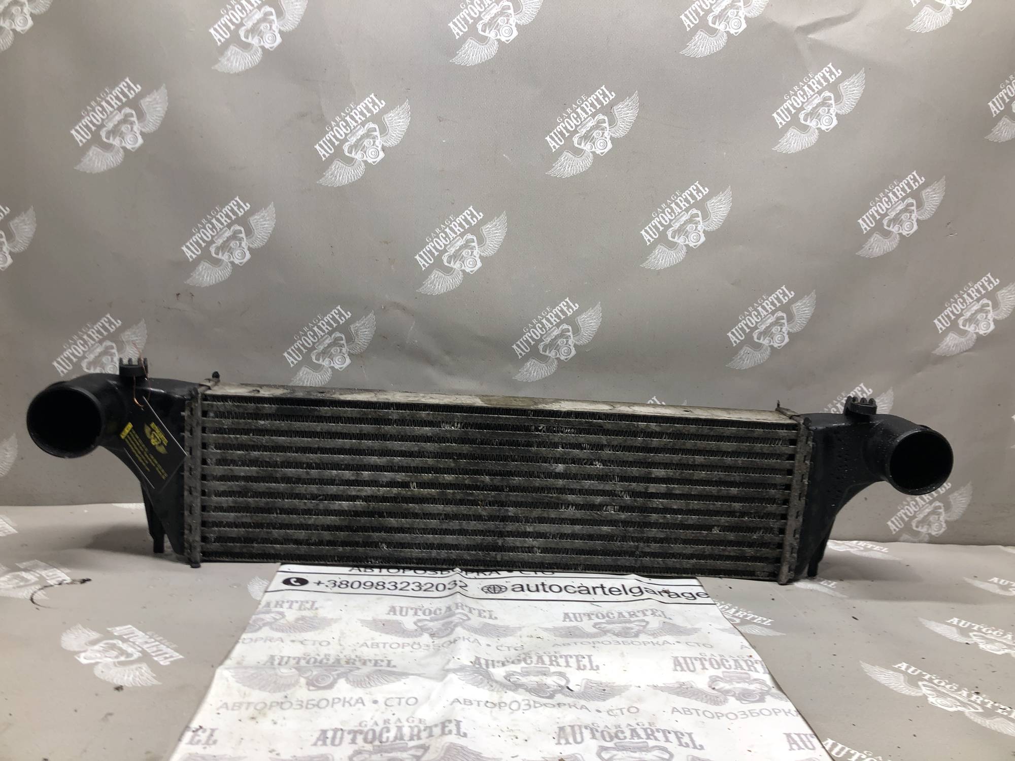 17512247966 радіатор інитеркуллера BMW x5 e53