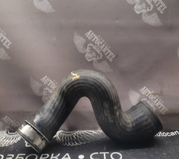 Патрубок інтеркулера нижній 1.9tdi Skoda Octavia A5 1k0145832b