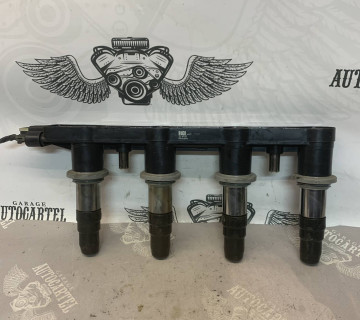 Котушка запалювання Chevrolet Aveo/Cruze 1.4-1.8 134032