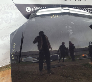 1160446 Капот Opel Signum 2002-2006 p412