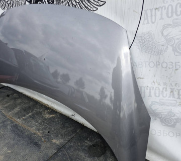 Капот передній Renault Scenic 2 2003-2009 21691201