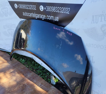 7751474289 Капот Renault Scenis 2 2003-2009 p123